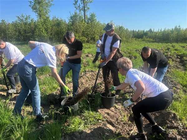 dla podopiecznych domów dziecka czy wspólne sadzenie drzew