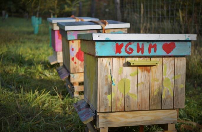 i. Programy takie jak EKO-Zdrowie, wolontariat KGHM, edukacja, wsparcie lokalnych społeczności oraz środowiskowe inicjatywy stanowią solidny