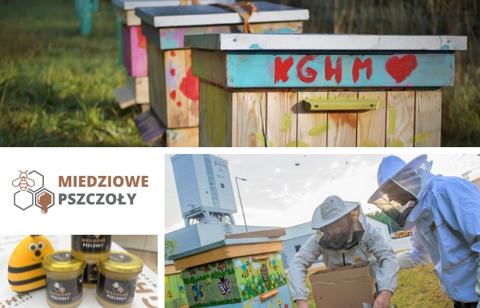 Społeczna odpowiedzialność biznesu w KGHM Polska Miedź S.A. – działania, programy i znaczenie dla rozwoju społecznego